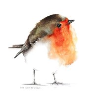 watercolour paintings birds for sale