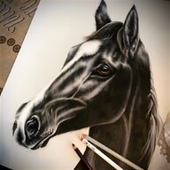 black stallion for sale