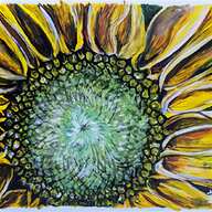 sunflower painting for sale