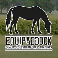 paddock grass seed for sale