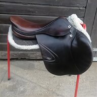 show jumping horses for sale