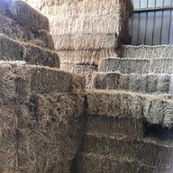 hay bales for sale