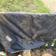 turnout rug for sale