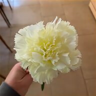 blue carnations for sale