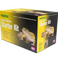 reptile starter kit for sale