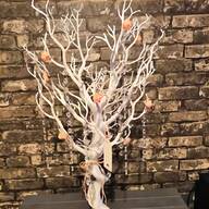white manzanita wishing tree for sale