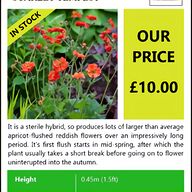 geum for sale