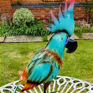 colorful parrots for sale