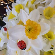 silk daffodils for sale