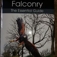 falconry books for sale