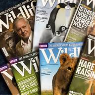 bbc wildlife magazine for sale