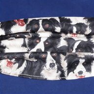 sausage dog scarf for sale