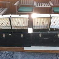 bird carry cage for sale