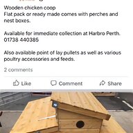 duck nesting box for sale