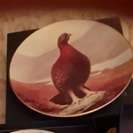 grouse bird for sale