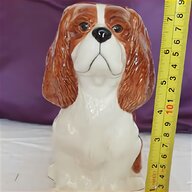 king charles spaniel dog for sale