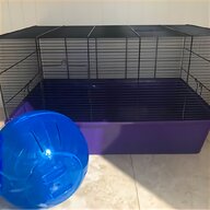 savic hamster for sale
