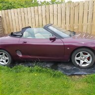 mgf trophy for sale