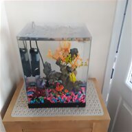 cube fish tank for sale