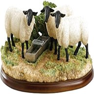 border fine arts sheep for sale