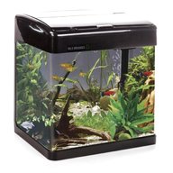 betta lifespace for sale