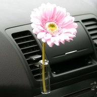 flower vase car for sale