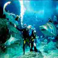 aquarium diver for sale
