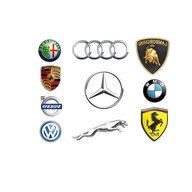 car badge for sale