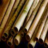 bamboo pieces for sale