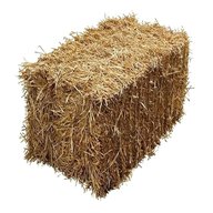 barley straw bales for sale