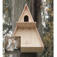 owl box for sale