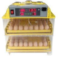 egg incubators for sale