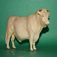 beswick charolais bull for sale