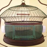 vintage bird cages for sale