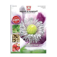 thompson morgan seeds for sale