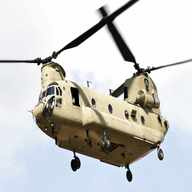 chinook for sale
