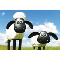 shaun sheep for sale