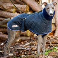 whippet coat waterproof for sale