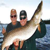 northern pike for sale