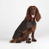 barbour dog for sale