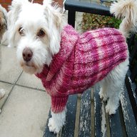 knitted coats dogs for sale