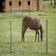 animal fencing for sale
