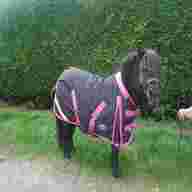 shetland pony rugs for sale