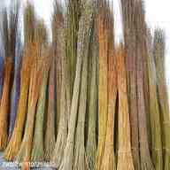 willow rods for sale