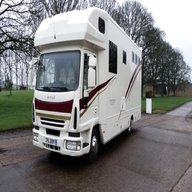 iveco horsebox for sale
