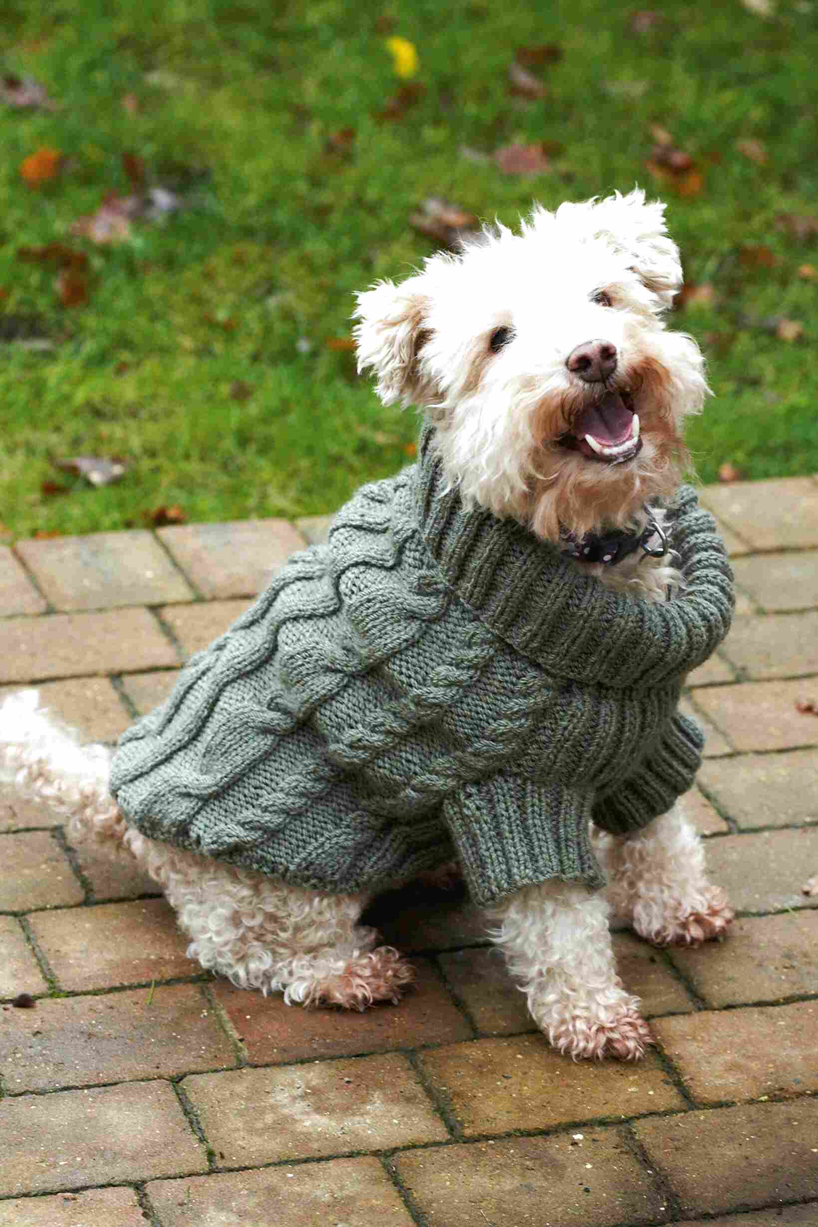 Knitted Dog Jumper Pattern for sale in UK | View 64 ads