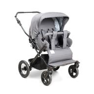 double buggy for sale