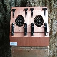 double terrier boxes for sale