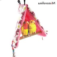 parrot swing for sale