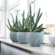 indoor ceramic plant pots for sale